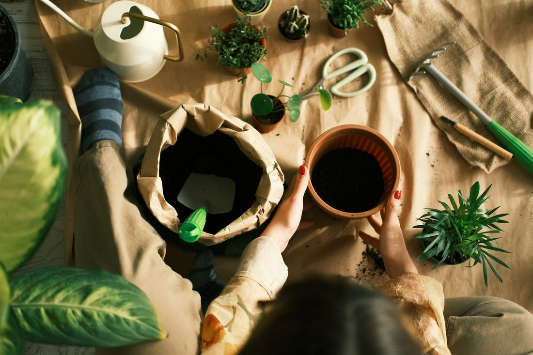 Are Herbal Remedies Effective in Treating Common Ailments?