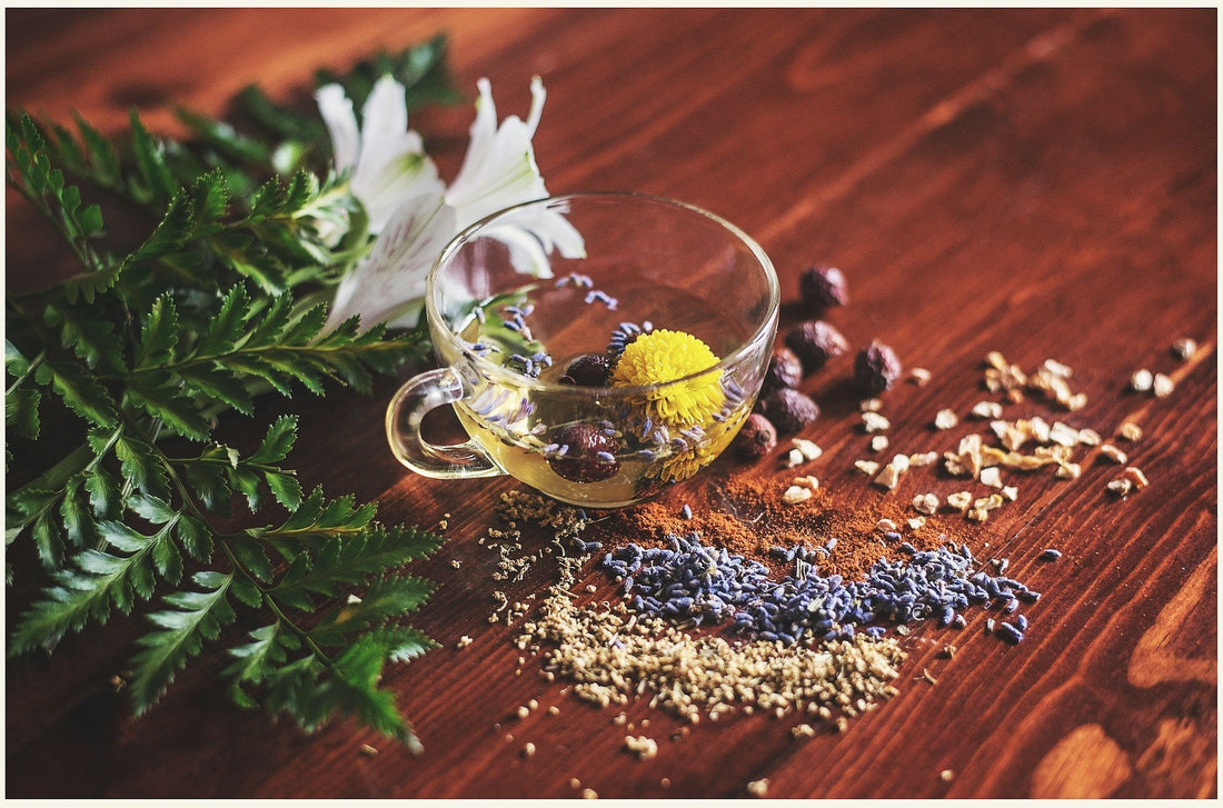 5 Easy Herbal Medicine Recipes for Everyday Pain