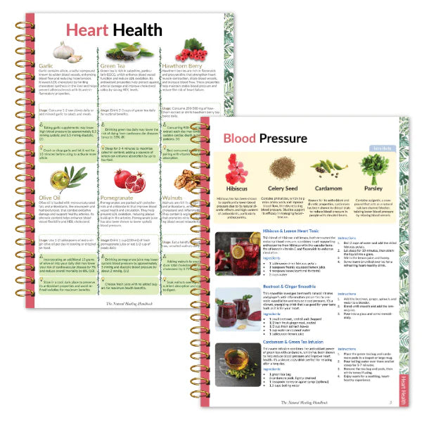 The Natural Healing Handbook