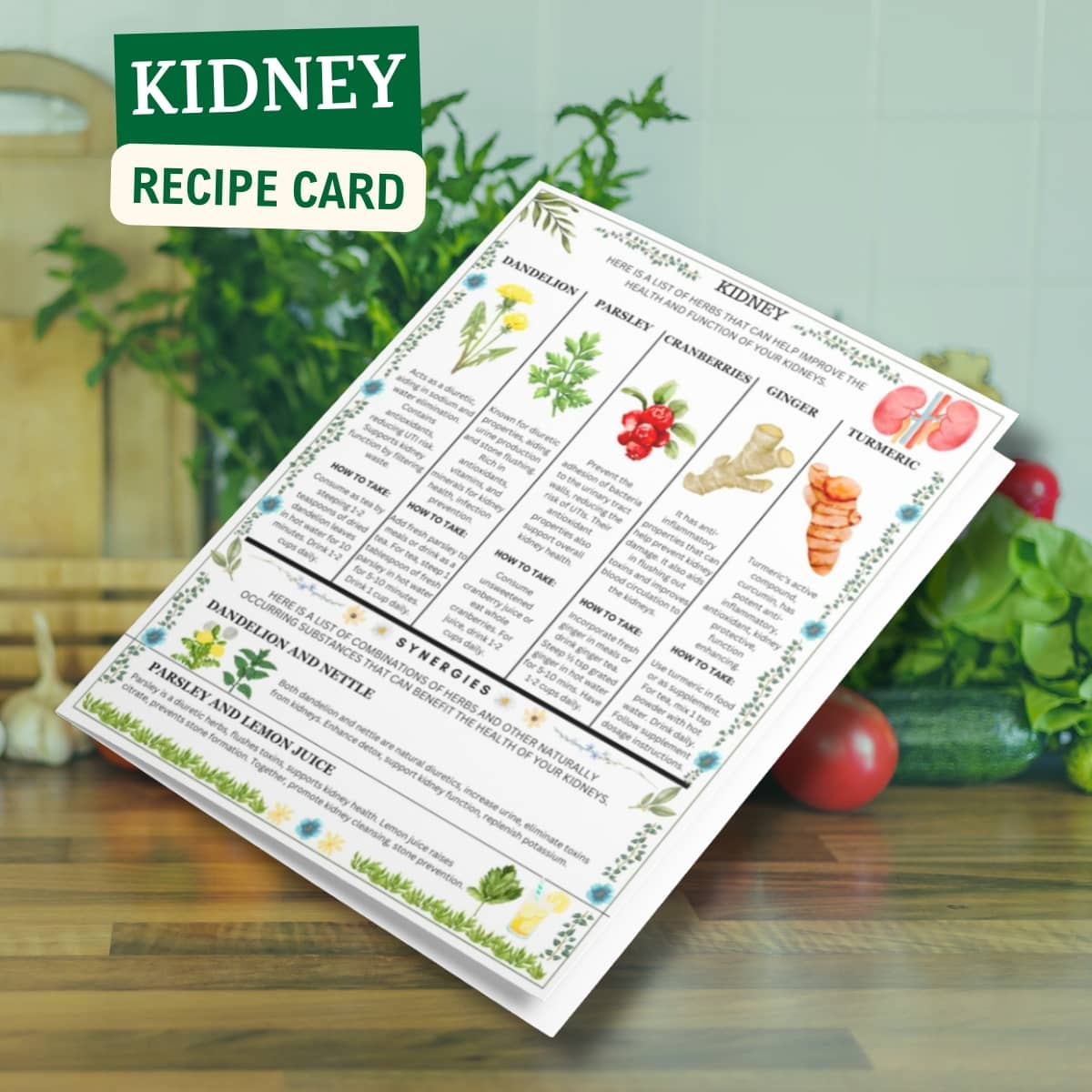 Ancient Remedies Recipe Cards