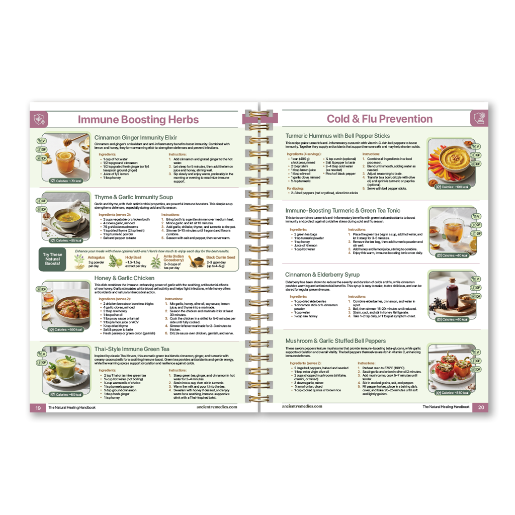 The Natural Healing Handbook