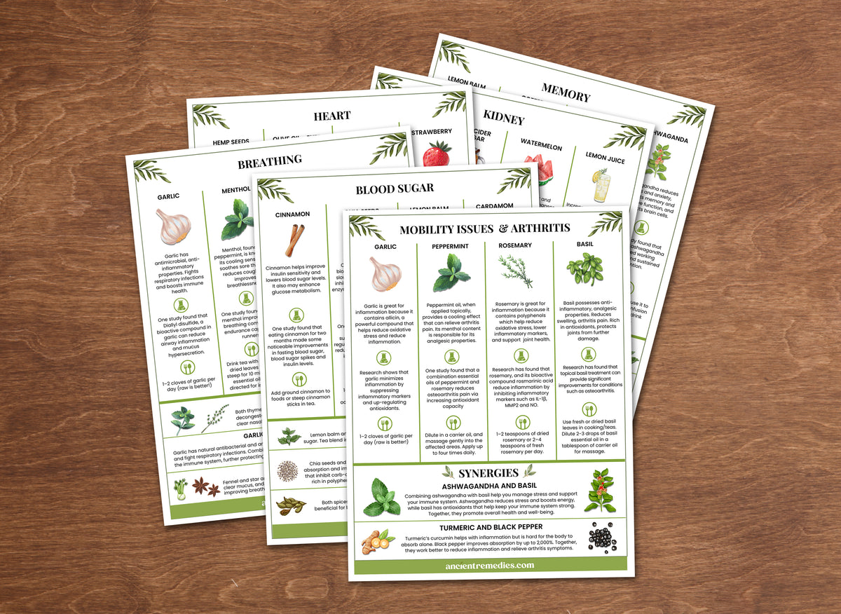 Recipe Cards 1 Set of 6 Recipe Cards - ARR-RC-01-FNL