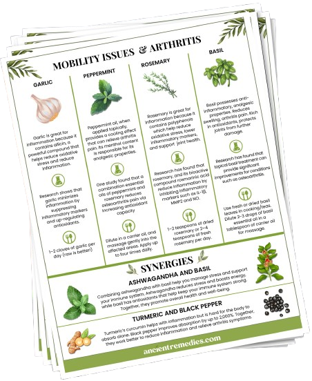 Ancient Remedies Recipe Cards
