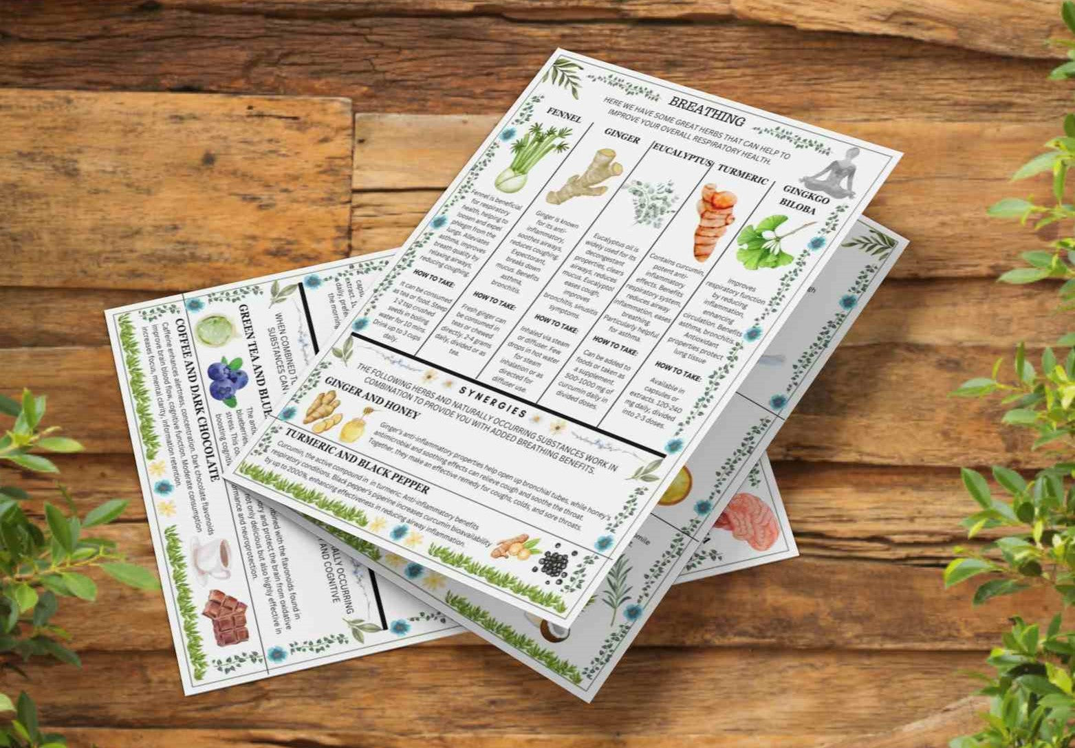 Ancient Remedies Recipe Cards