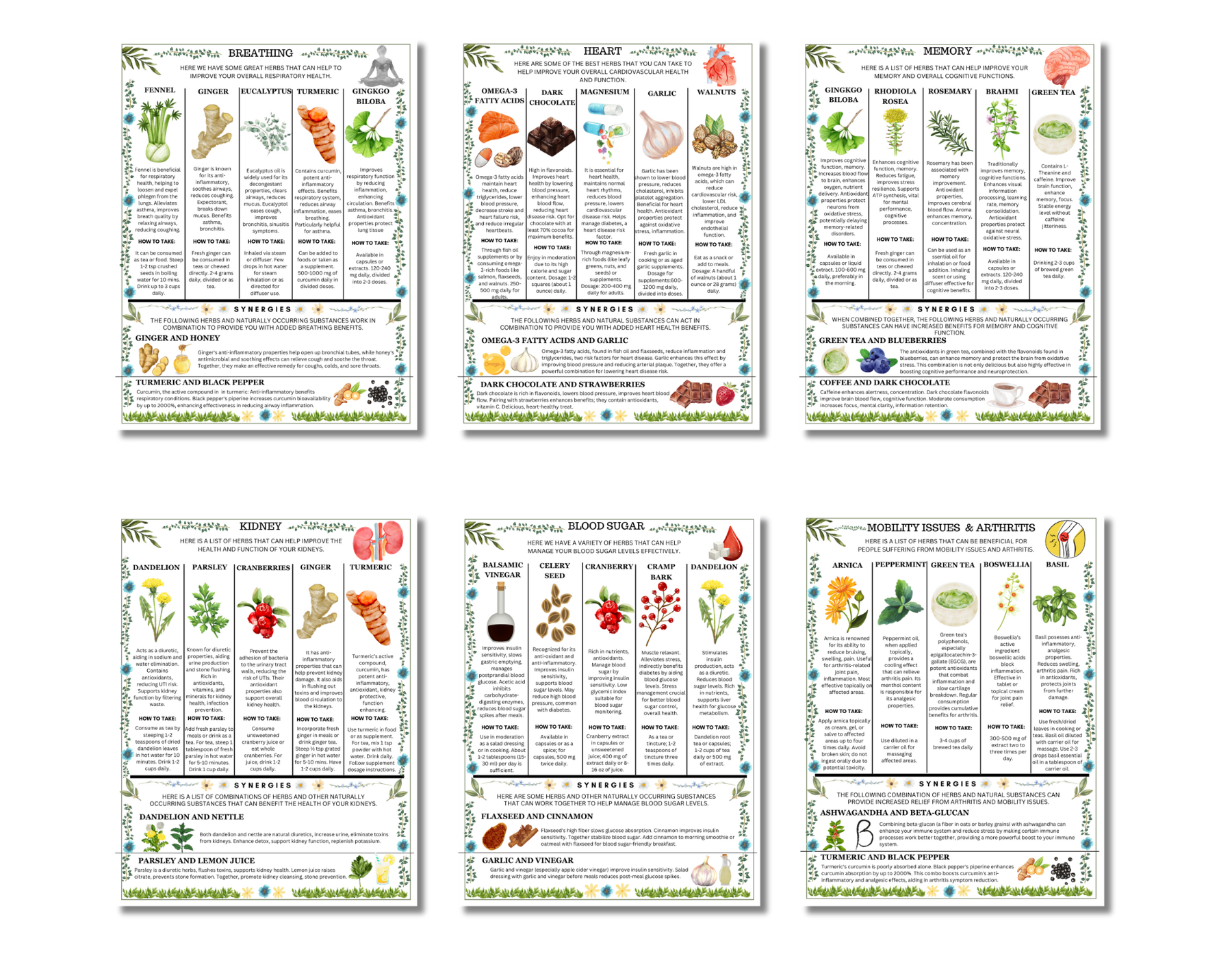 Ancient Remedies Recipe Cards