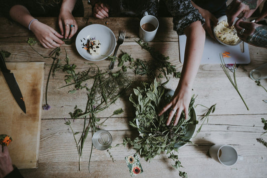 Herbal Remedies Handbook: A Comprehensive Guide to Natural Healing Solutions