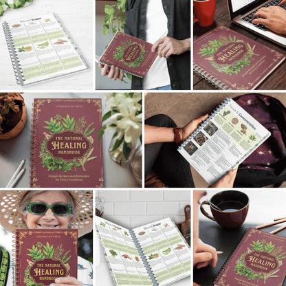The Natural Healing Handbook