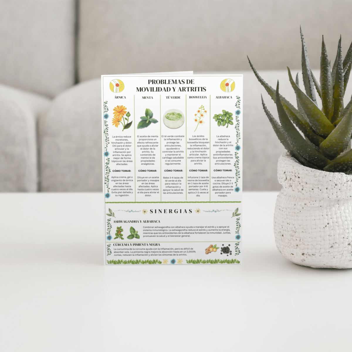 Pamphlet detailing natural remedies for mobility and arthritis, placed on a table next to a potted plant.