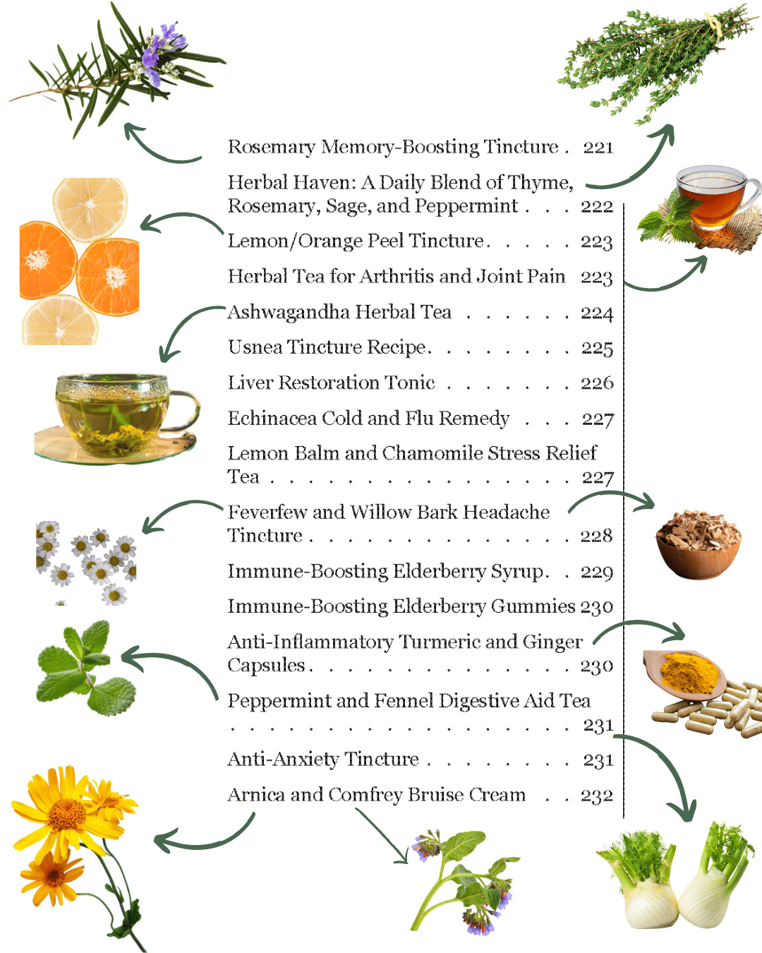 Index page