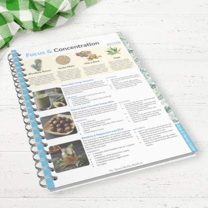 The Natural Healing Handbook