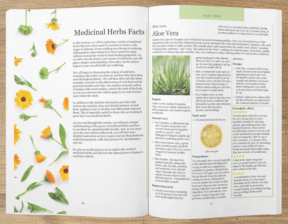 Open book displaying facts about medicinal herbs and detailed information about Aloe Vera.
