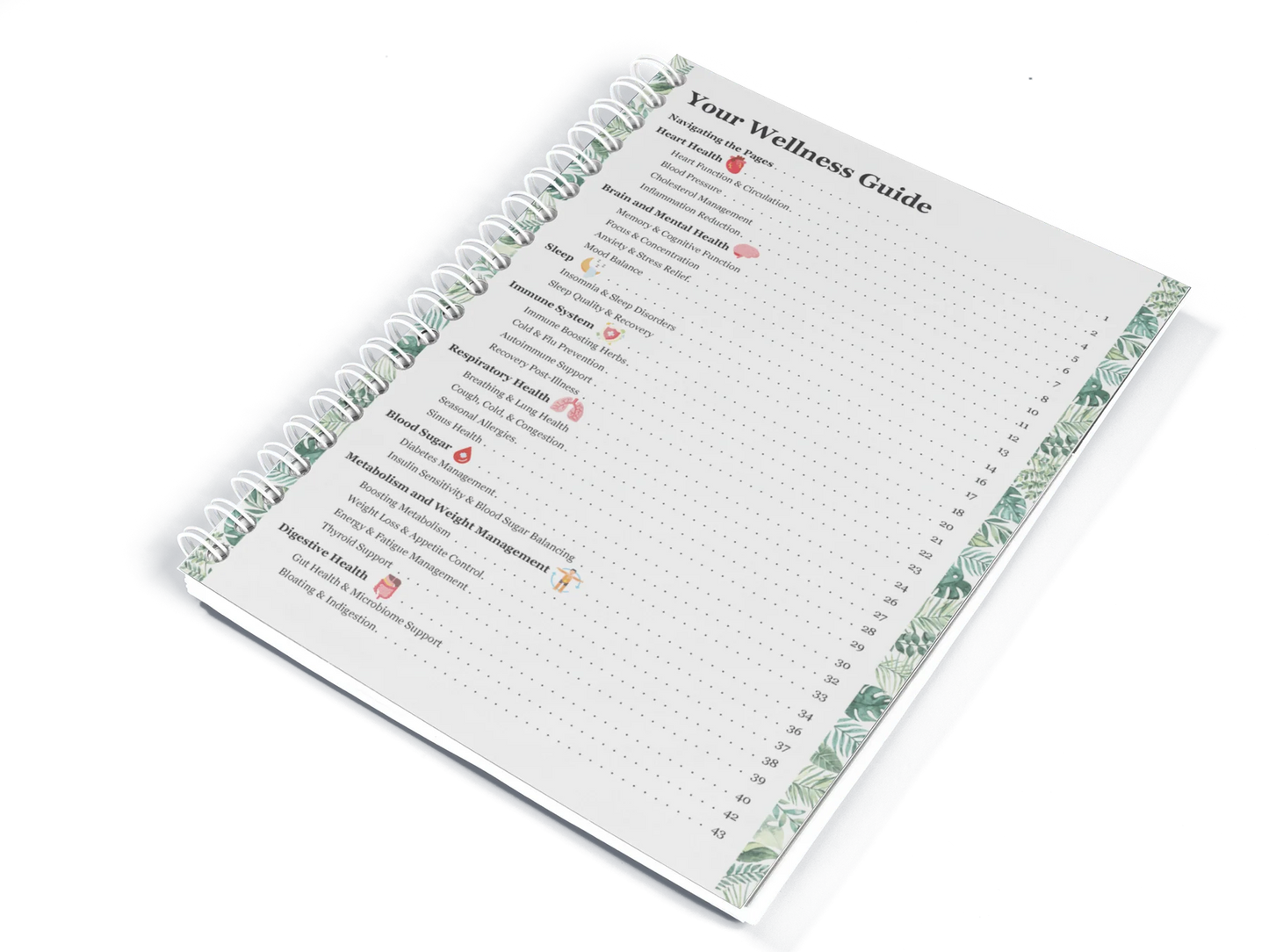 The Natural Healing Handbook