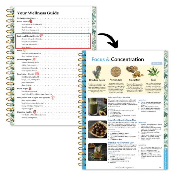 The Natural Healing Handbook