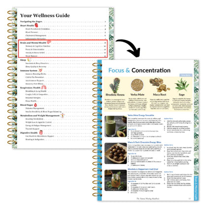 The Natural Healing Handbook