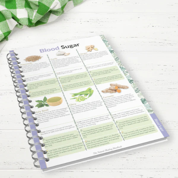 The Natural Healing Handbook