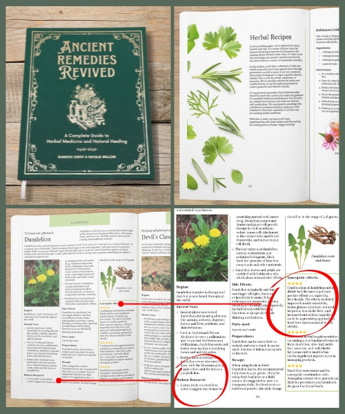 Book pages featuring herbal remedies and plant images.