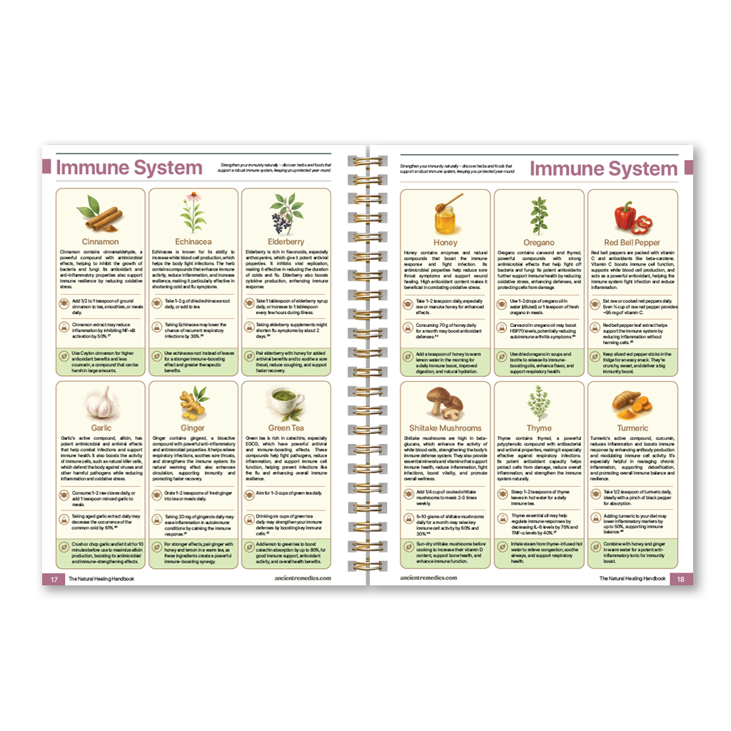 The Natural Healing Handbook