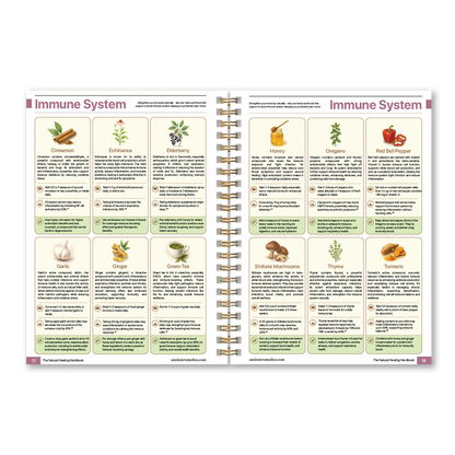 The Natural Healing Handbook