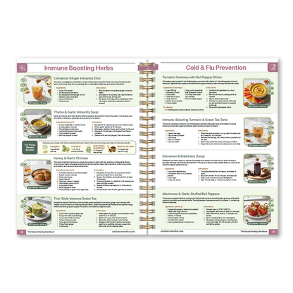 The Natural Healing Handbook