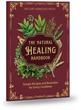 The Natural Healing Handbook